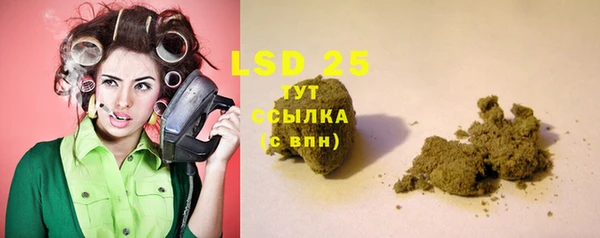 молекула духа Карпинск