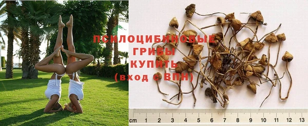 гашиш Кинешма