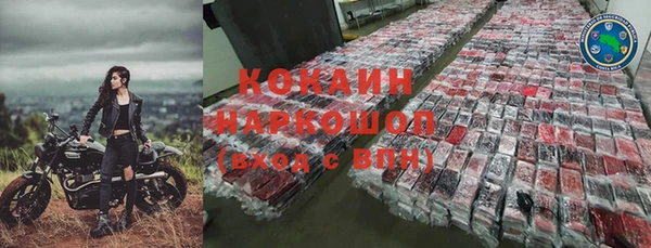 молекула духа Карпинск