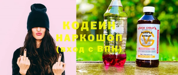 молекула духа Карпинск